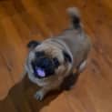 Photo of Doug