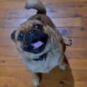 Photo of Doug