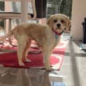 Photo of Molly