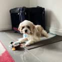 Photo of Molly