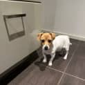 Photo of Turbo 