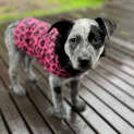 Photo of Tuli