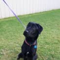 Photo of Long Boy Stewart