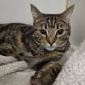 Photo of Lulu