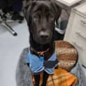 Photo of Long Boy Stewart