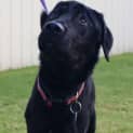 Photo of Long Boy Stewart