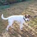 Photo of Bella Boo