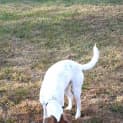 Photo of Bella Boo
