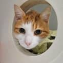 Photo of Bibi