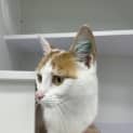 Photo of Maya