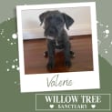 Photo of Valerie