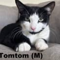 Photo of Tom Tom