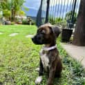 Photo of Winnie