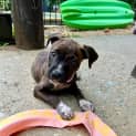 Photo of Winnie