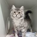 Photo of Delilah