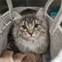 Photo of Delilah