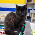 Photo of Holly