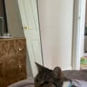 Photo of Cuddles