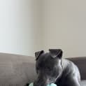 Photo of Cypress