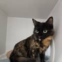 Photo of Jelly