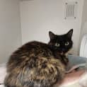 Photo of Jelly