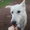 Photo of Tilly