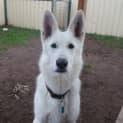 Photo of Tilly