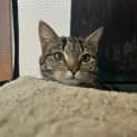 Photo of Lyla