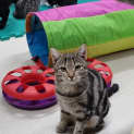 Photo of Lyla