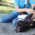Photo of Lucy