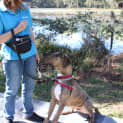 Photo of Caesar