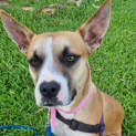 Photo of Halo