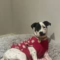 Photo of Mahala