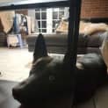 Photo of Trick