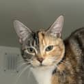 Photo of Cleo