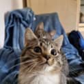 Photo of Maurice