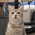 Photo of Meredith