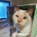 Photo of Dolly
