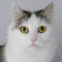 Photo of Esmeralda