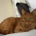 Photo of Ron
