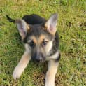 Photo of Shazza