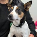 Photo of Molly