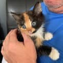 Photo of Wynnie