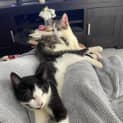 Photo of Stella & Jimmy