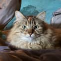 Photo of Elvie