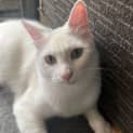 Photo of Yuki