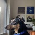 Photo of Winnie Blue