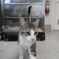 Photo of Arlo