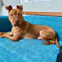 Photo of Wheatley