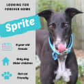 Photo of Sprite